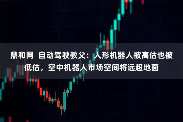 鼎和网  自动驾驶教父：人形机器人被高估也被低估，空中机器人市场空间将远超地面