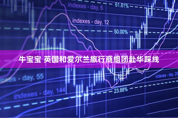 牛宝宝 英国和爱尔兰旅行商组团赴华踩线