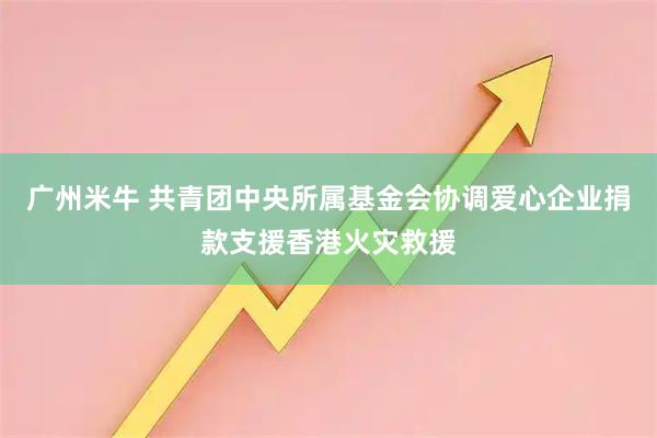 广州米牛 共青团中央所属基金会协调爱心企业捐款支援香港火灾救援