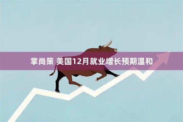 掌尚策 美国12月就业增长预期温和
