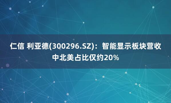 仁信 利亚德(300296.SZ)：智能显示板块营收中北美占比仅约20%