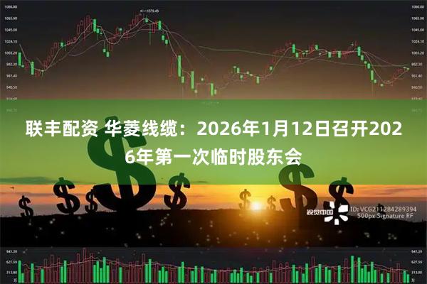 联丰配资 华菱线缆：2026年1月12日召开2026年第一次临时股东会
