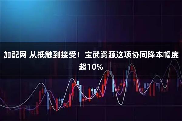 加配网 从抵触到接受！宝武资源这项协同降本幅度超10%